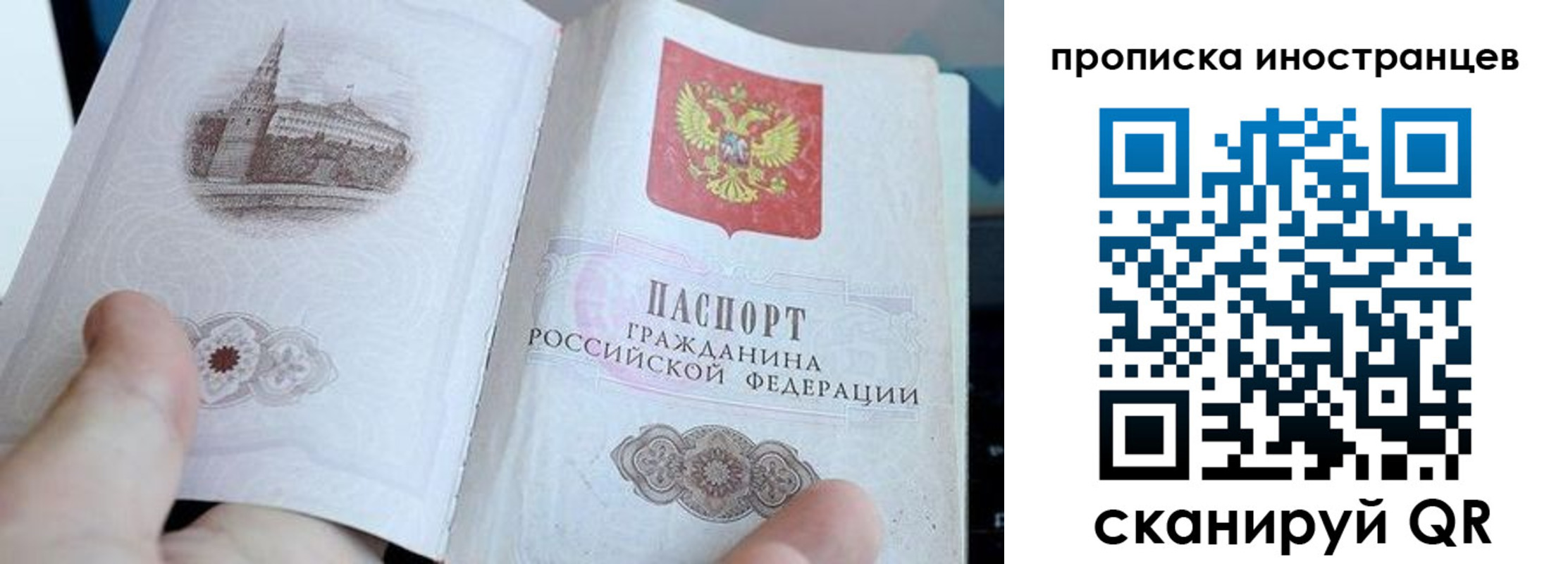 прописка поиск в Первомайске